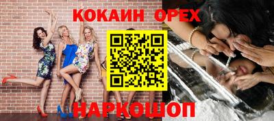 крисы Пенза
