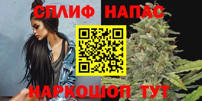 крисы Пенза