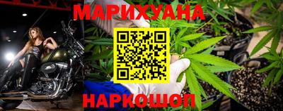 крисы Пенза