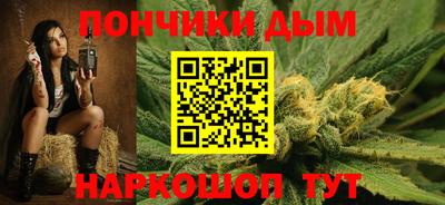 крисы Пенза