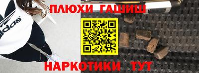 крисы Пенза