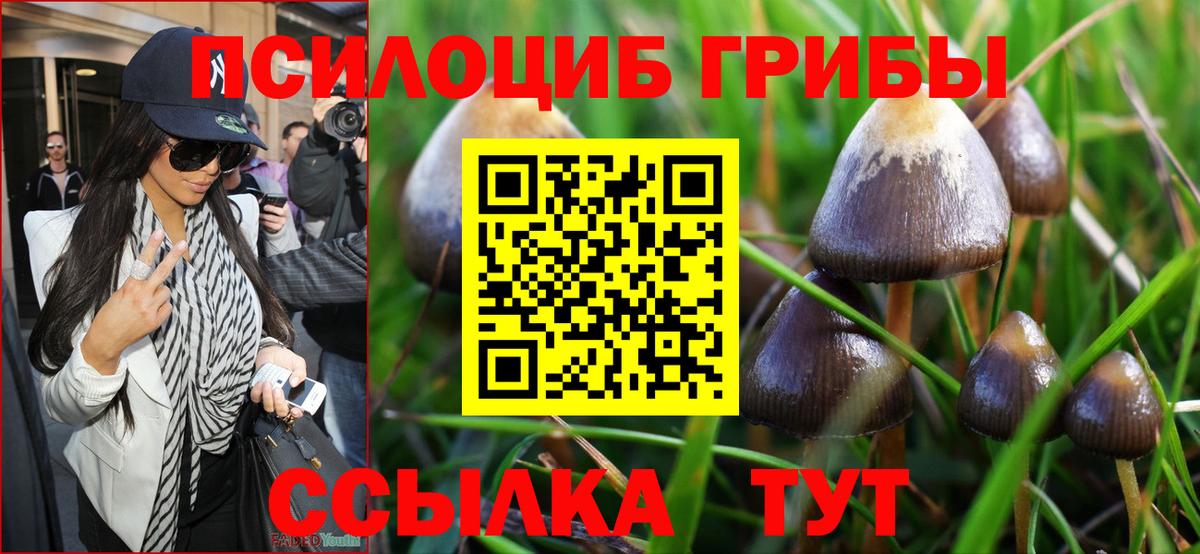 Псилоцибиновые грибы Cubensis Алексеевка