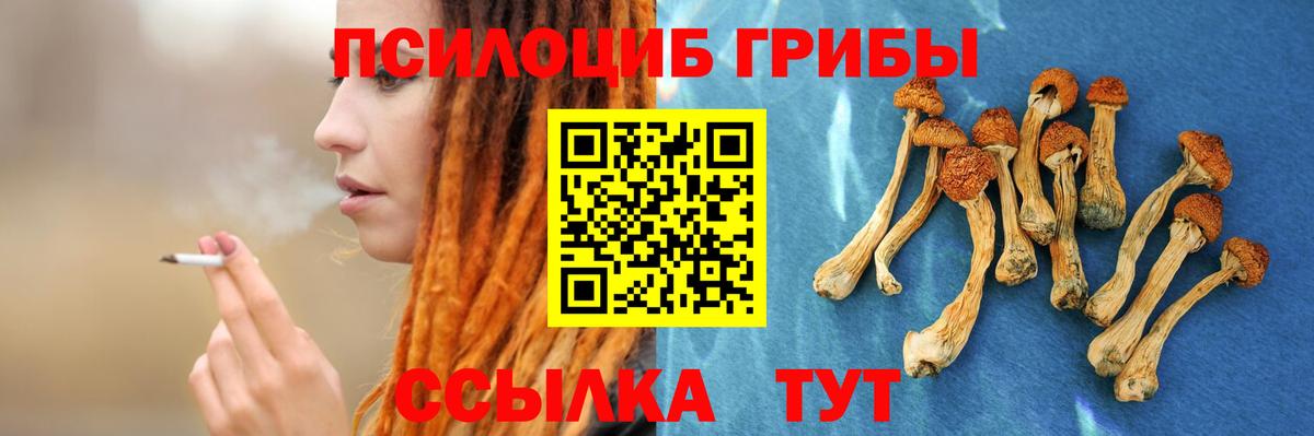 Алексеевка  Псилоцибиновые грибы GOLDEN TEACHER  Вход с VPN 